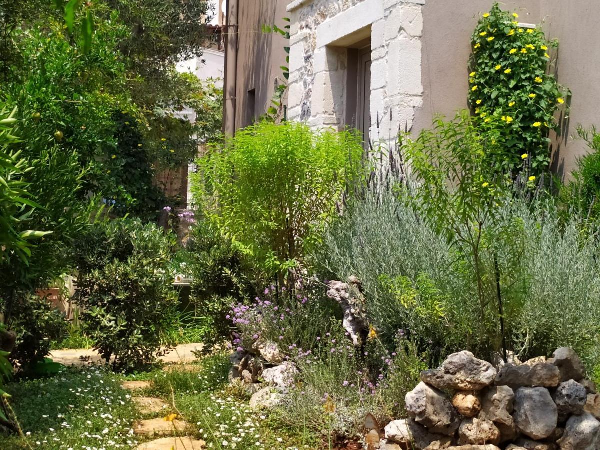 Olive Lemon Biophilic House & Lush Forest Garden Vamos Buitenkant foto