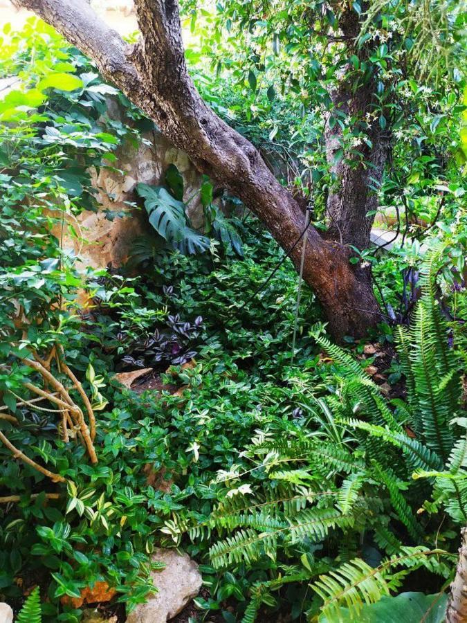 Olive Lemon Biophilic House & Lush Forest Garden Vamos Buitenkant foto