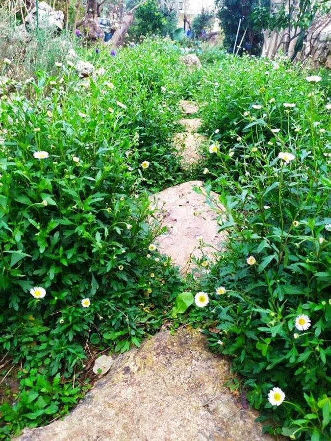 Olive Lemon Biophilic House & Lush Forest Garden Vamos Buitenkant foto