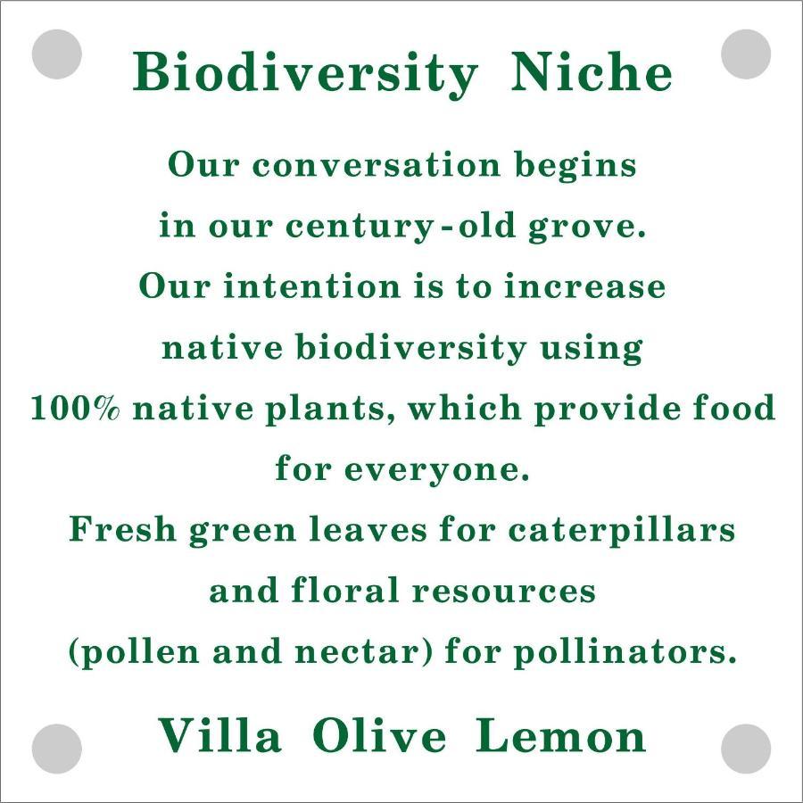 Olive Lemon Biophilic House & Lush Forest Garden Vamos Buitenkant foto