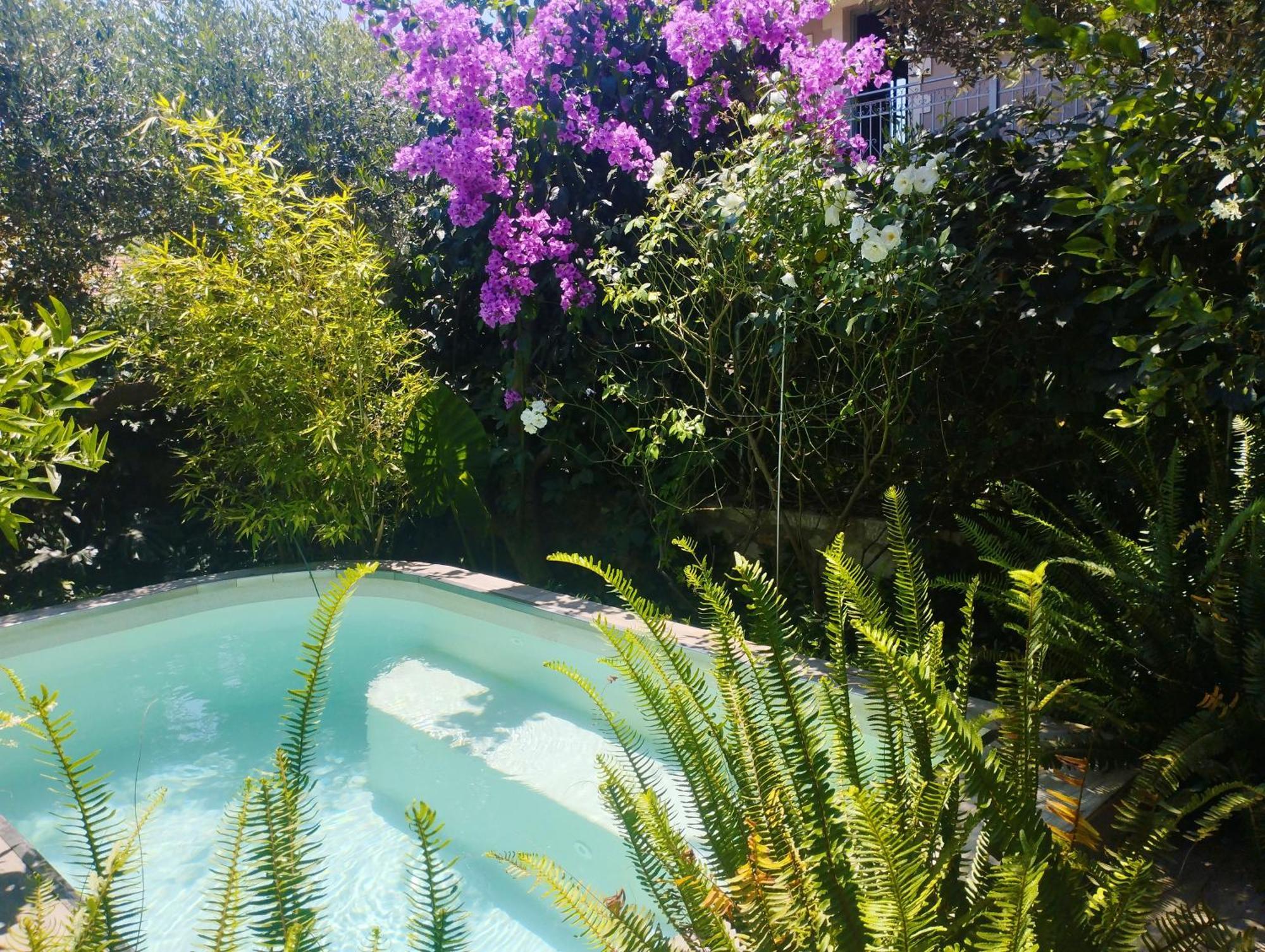 Olive Lemon Biophilic House & Lush Forest Garden Vamos Buitenkant foto