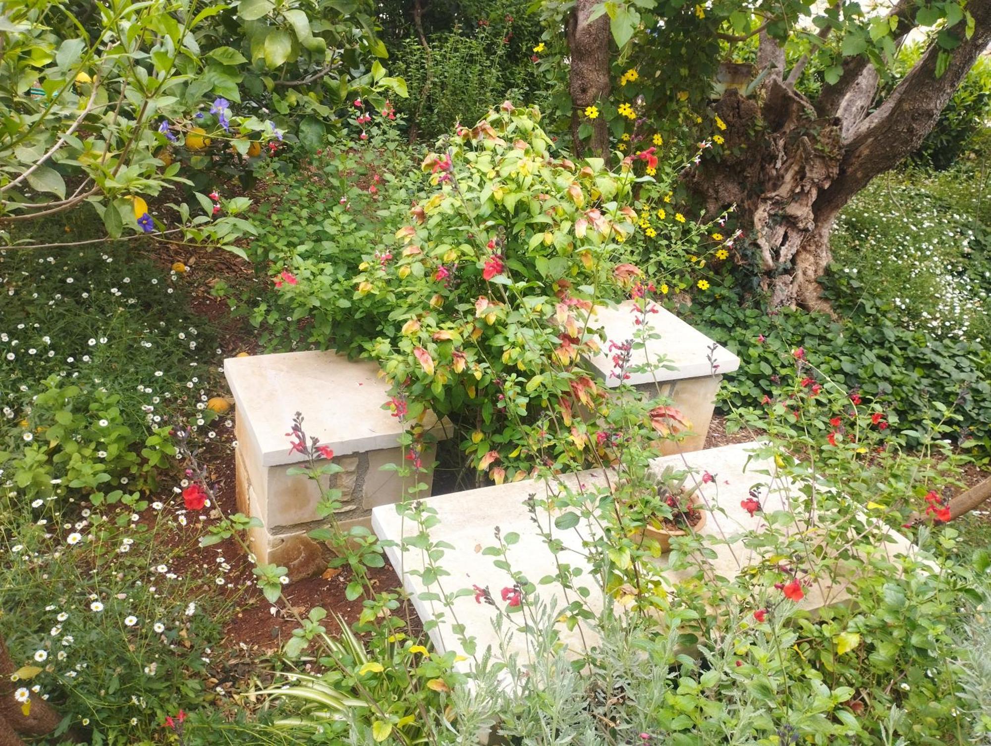 Olive Lemon Biophilic House & Lush Forest Garden Vamos Buitenkant foto