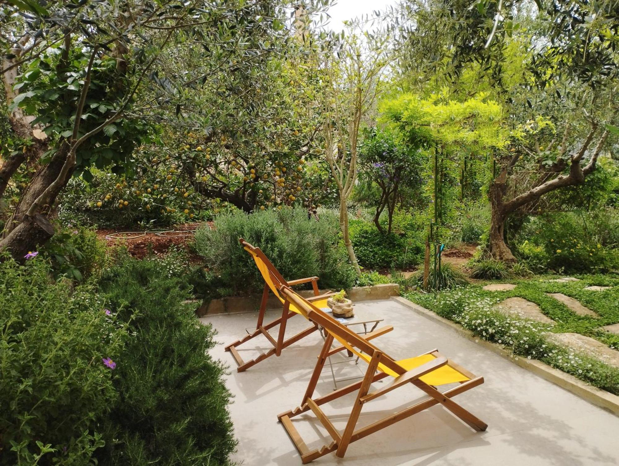 Olive Lemon Biophilic House & Lush Forest Garden Vamos Kamer foto