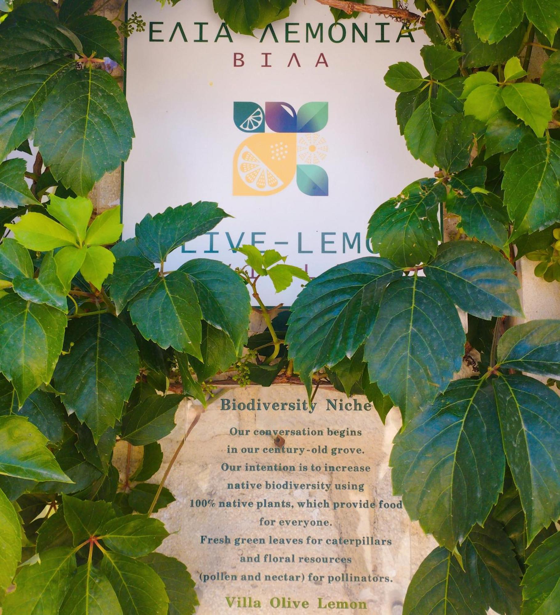Olive Lemon Biophilic House & Lush Forest Garden Vamos Kamer foto